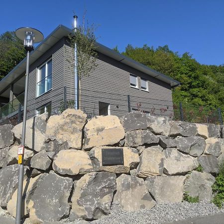 Ferienhaus Schieferterrasse - Waldsee Rieden - Екстер'єр фото